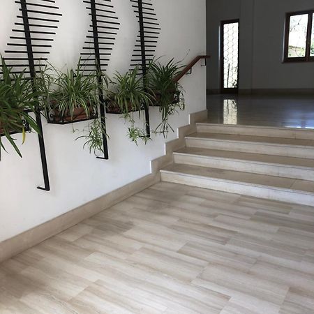 Appartamento Le Zagare Sorrento Kültér fotó